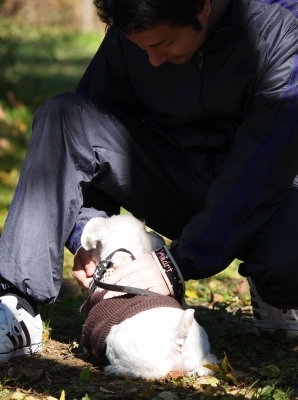 APB182695.jpg