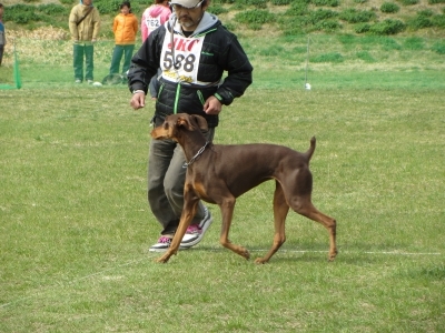 IMG_1957.jpg