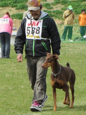 IMG_1961t.jpg