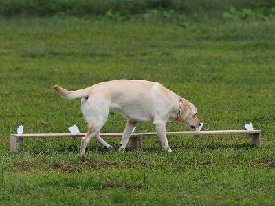 PA048840.jpg