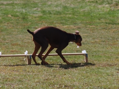 PA130010.jpg